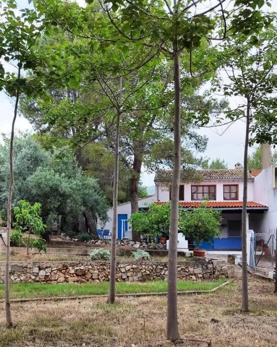 La Caseta De Rotova - Casa Rural Para Desconectar Εξωτερικό φωτογραφία