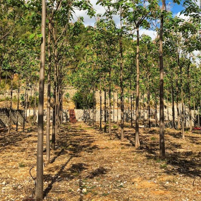 La Caseta De Rotova - Casa Rural Para Desconectar Εξωτερικό φωτογραφία