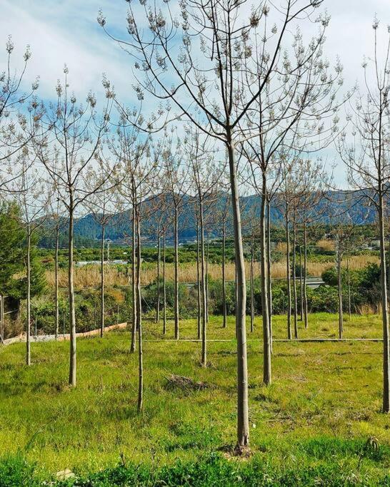 La Caseta De Rotova - Casa Rural Para Desconectar Εξωτερικό φωτογραφία